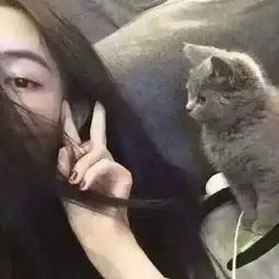 一种灰色毛的猫,这个是什么品种