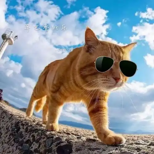 高清金渐层猫头像