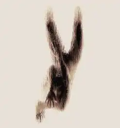 希腊艺术系大学生裸体呈现英文字母剪影