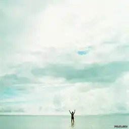 头像面向大海背影