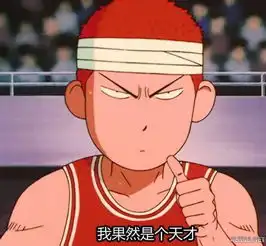 治愈系头像篮球樱木