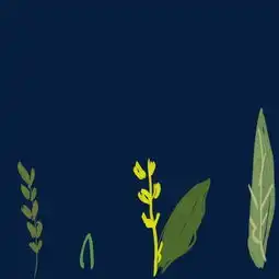 清新卡通手绘绿色树叶装饰图片素材其他格式下载装饰图案大全