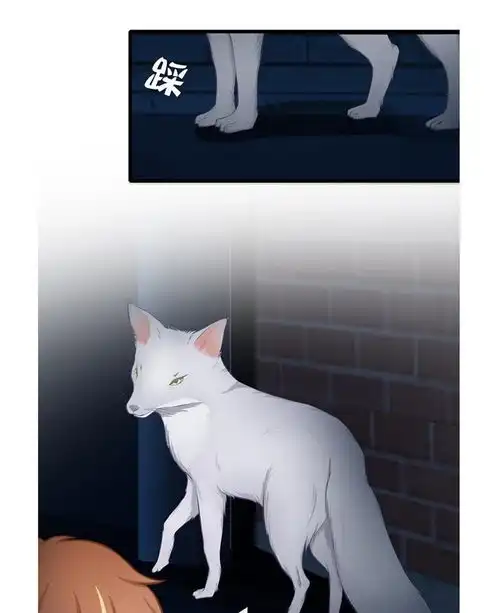僵小鱼风鱼志狸馆爱奇艺漫画