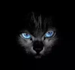 关于日系推理,你只知道东野圭吾