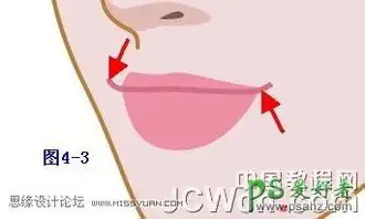 illustrator手绘教程学习清纯美女插画人物失量图的绘制5