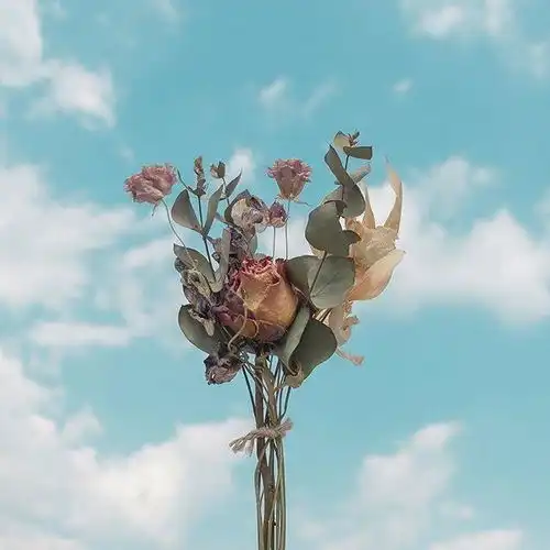 年底致自己的人生格言,精辟入骨,让人瞬间醒悟