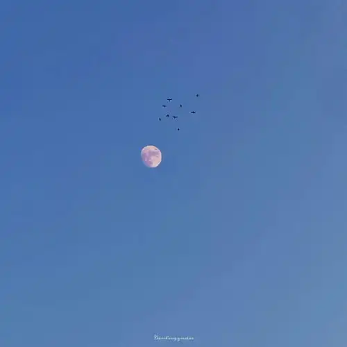 深爱治愈系背景图集