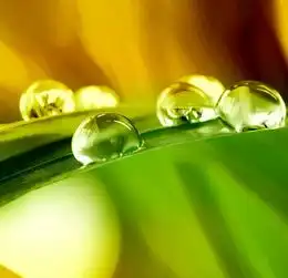 剖析墙锦四大核心产品