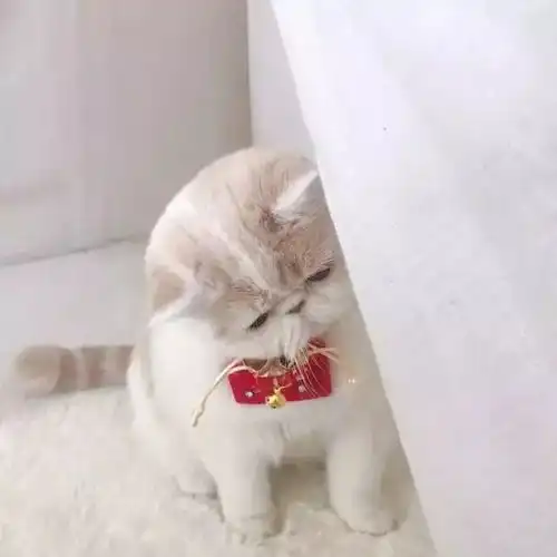 头像篇怎样才算与你在一起