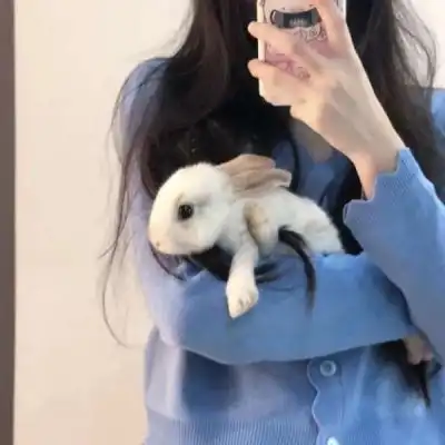 对象不是人系列情头