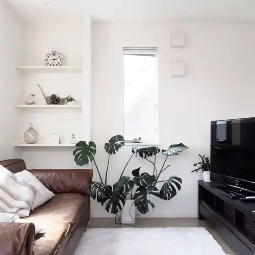 盐系头像欧美性冷淡