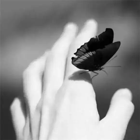 品读心若不惜,情亦不再.....