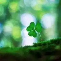 好看的绿色系自然风景图片头像微信头像图片大全