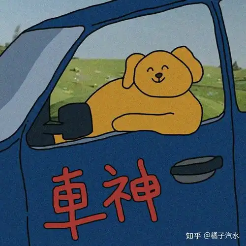 有什么驾考时用的头像吗