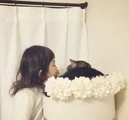 治愈系的猫咪女生头像头