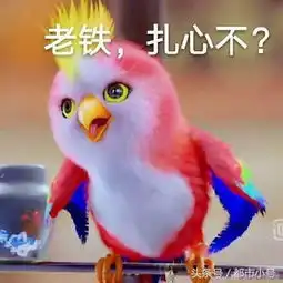 综艺节目极限挑战与奔跑吧兄弟的一些差异之处