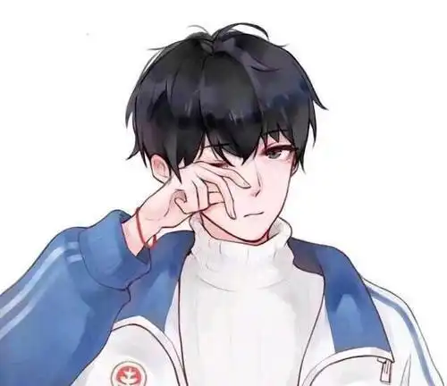 校园甜文他是惹不起的高冷学霸,却与她相守十年