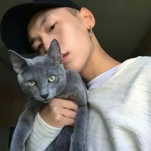 欧美系头像女抱猫手掌