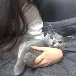 一段感情的结束,从来都是通知,而不是商量