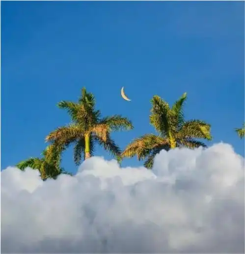 写给自己的人生语录,句句经典,引人深思