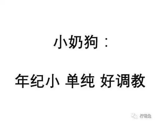 继小奶狗男生之后,猫系女孩也来了