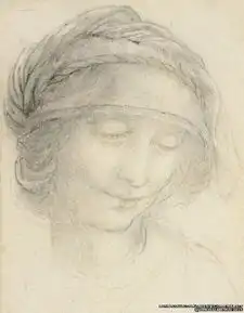 英国女王收藏的10幅达芬奇素描明年将展出