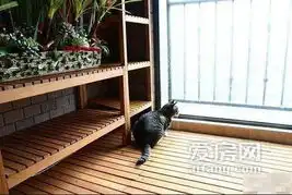 精致实用好色80后情侣的激情小两居