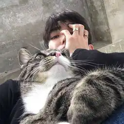 猫系动漫头像男黑色背景