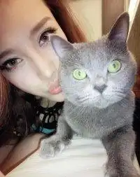 尐熊视频直播全集尐熊资料大全yy官方