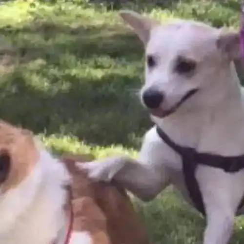 微信头像丨沙雕情侣头像,沙雕头像