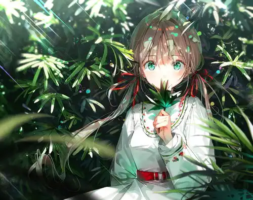 落花樱系列曾经的往事