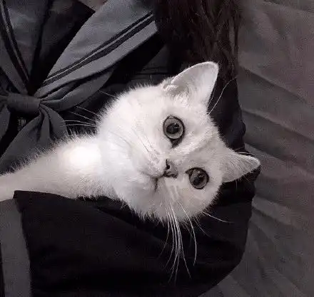 头像丨爱情经不起等待,叫我宝贝就现在