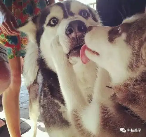 睡前轻松一下