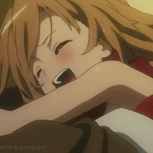 龙与虎逢坂大河高须龙儿自截图