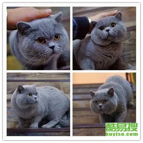 深圳酷易搜