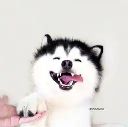 20岁男人和女人,谁会吃亏