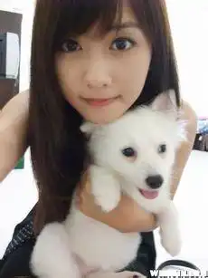 抱着狗狗的情侣头像,寻找女生那张
