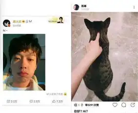 猫系当红女星犬系男星恋情将曝光网友凭三大理由猜测杨幂魏大勋