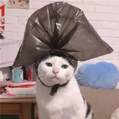 都2018年年末了,我还是没找到一起用猫咪情侣头像的人...