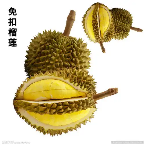 免扣素材榴莲设计图psd分层素材psd分层素材