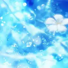 申请韩国全额奖学金