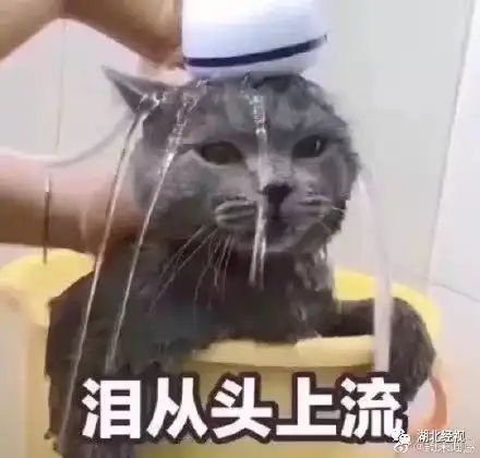 破案了男子出差家被搬空,竟是女友干的女友说这么做,是为了......睡前嘿嘿嘿