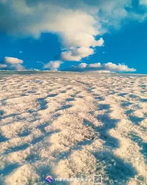 美图赏大兴安岭春天画卷