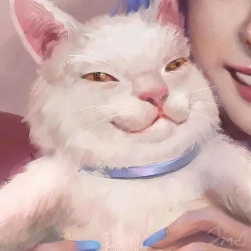 头像一半是人,一半不是人