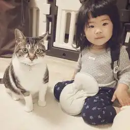 治愈系的猫咪女生头像治