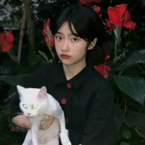 等日落西山等冬去春来等尘埃落定深意文案情头