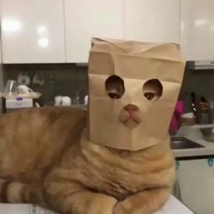 失恋这种事情真的很奇怪