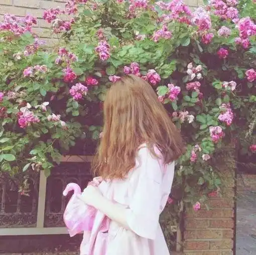 花系小清新头像吧日系