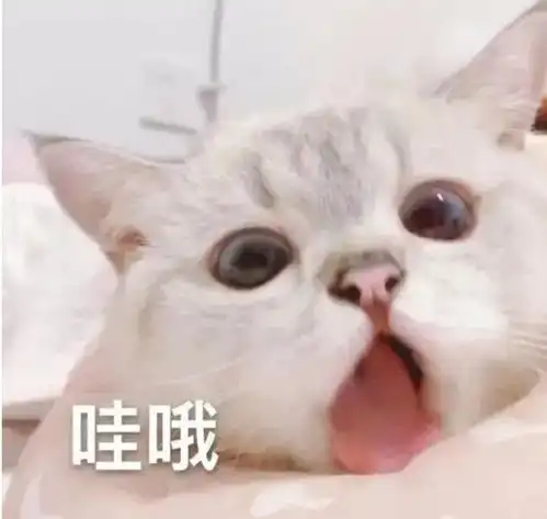信用领跑行动再发车,赶快来参与