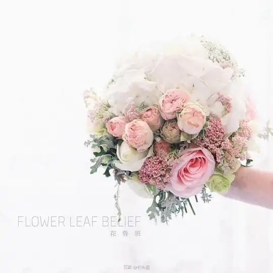 许多熊的相册手捧花辑愿每个女生都嫁给爱情